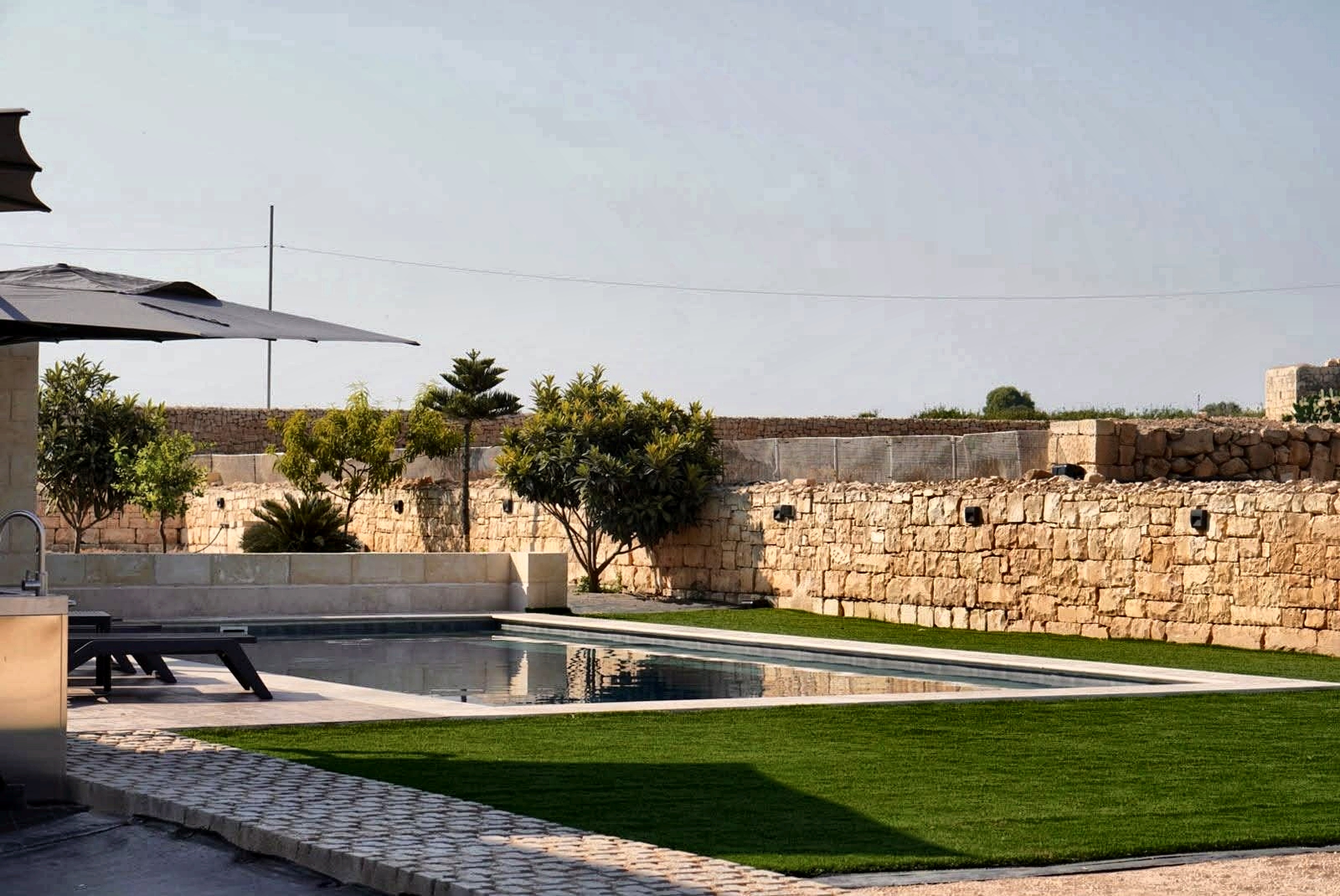 Quiet boundary wall with citrus trees