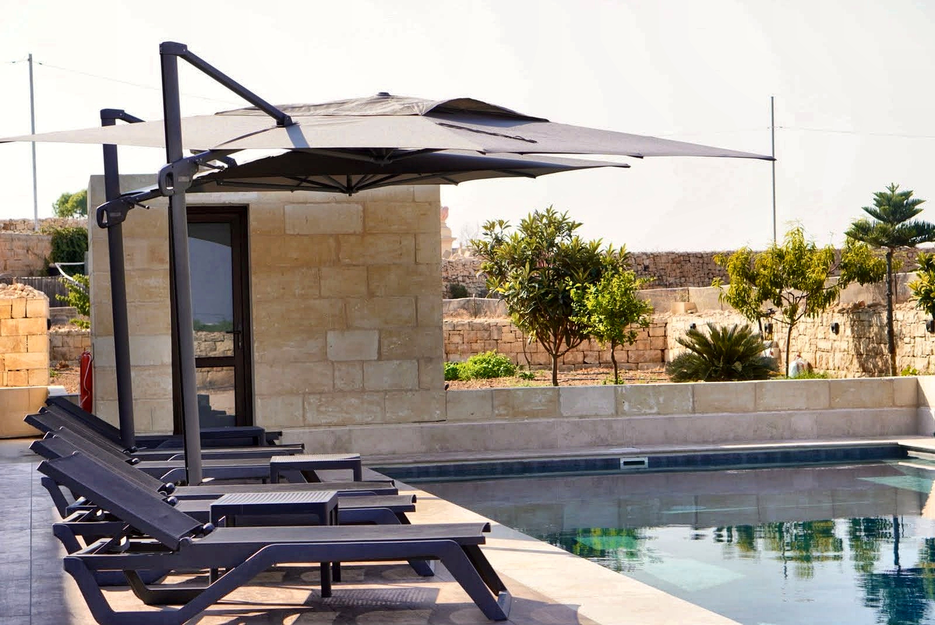 Modern poolside sun loungers and orchard garden